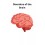 Disorders of the Brain - Couverture Ebook auto édité