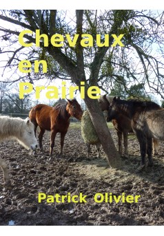 Chevaux en Prairie - Couverture Ebook auto édité