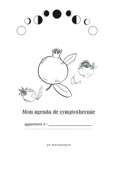 Mon agenda de symptothermie - Couverture de livre auto édité