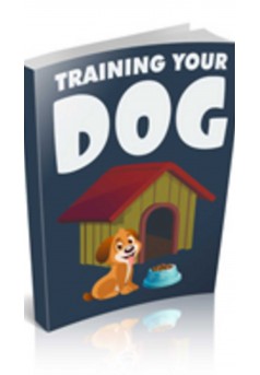 TRAINING YOUR DOG - Couverture Ebook auto édité