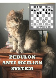 Zébulon system against the Sicilian - Couverture Ebook auto édité