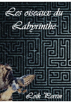 Les oiseaux du Labyrinthe - Couverture de livre auto édité