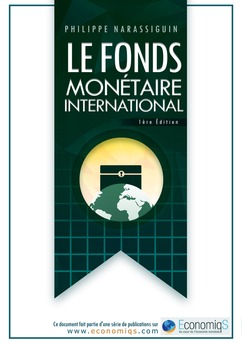 LE FONDS MONÉTAIRE INTERNATIONAL FMI - Couverture Ebook auto édité