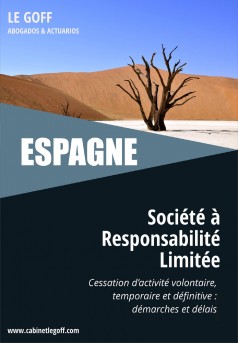 ESPAGNE, Société à Responsabilité Limitée - Couverture Ebook auto édité