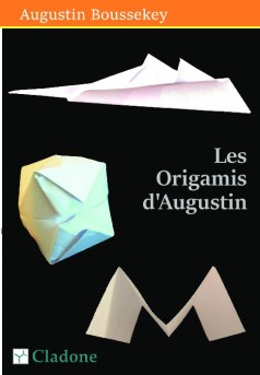 Les Origamis d'Augustin - Couverture de livre auto édité