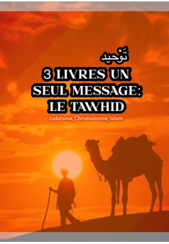 3 livres, un seul message : le tawhid  - Couverture Ebook auto édité