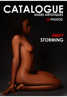Catalogue Nudes Artistique  - Couverture Ebook auto édité