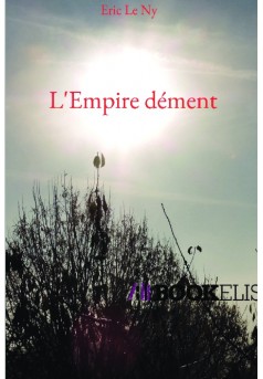 L'Empire dément - Couverture de livre auto édité