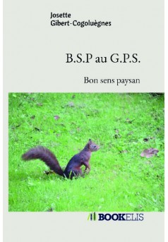 B.S.P au G.P.S. - Couverture de livre auto édité