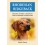 Rhodesian Ridgeback - Couverture Ebook auto édité