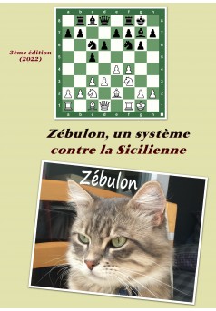 Zébulon : un système contre la Sicilienne - Couverture Ebook auto édité
