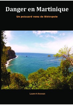 Danger en Martinique - Couverture de livre auto édité