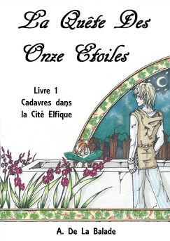 La quête des Onze Etoiles - Livre 1 : Cadavres dans la Cité Elfique - Couverture Ebook auto édité