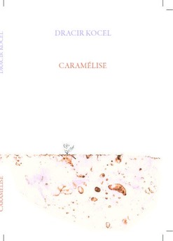 caramélise - Couverture de livre auto édité