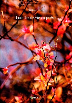 Tranche de vie en poésie - Couverture de livre auto édité