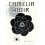Camélia Noir - Couverture de livre auto édité