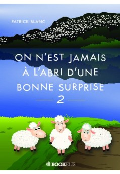 ON N'EST JAMAIS A l'ABRI D'UNE BONNE SURPRISE 2 - Couverture de livre auto édité