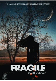 Fragile, série Brèches - Couverture de livre auto édité