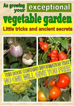 As growing your exceptional vegetable garden - Couverture Ebook auto édité