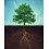 A poison tree - Couverture Ebook auto édité