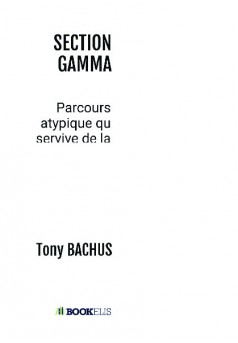 SECTION GAMMA - Couverture de livre auto édité