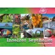 Insolites Seychelles