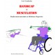 Handicap et musculation