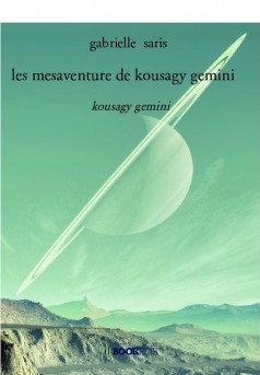 les mesaventure de kousagy gemini  - Couverture de livre auto édité