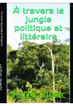 a travers la jungle politique et litteraire - Couverture de livre auto édité