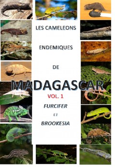 LES CAMELEONS ENDEMIQUES DE MADAGASCAR VOL 1 - Couverture Ebook auto édité