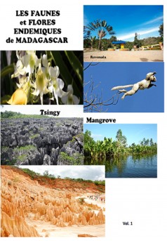 LES FAUNES ET FLORES ENDEMIQUES de Madagascar Volume 1 - Couverture Ebook auto édité