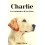Charlie - Couverture Ebook auto édité