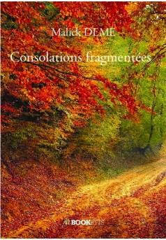 Consolations fragmentées - Couverture de livre auto édité